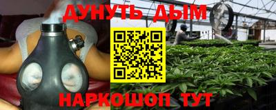 трава Камышлов
