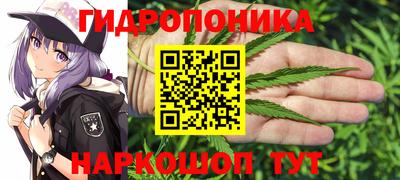 ПСИЛОЦИБИНОВЫЕ ГРИБЫ Канаш